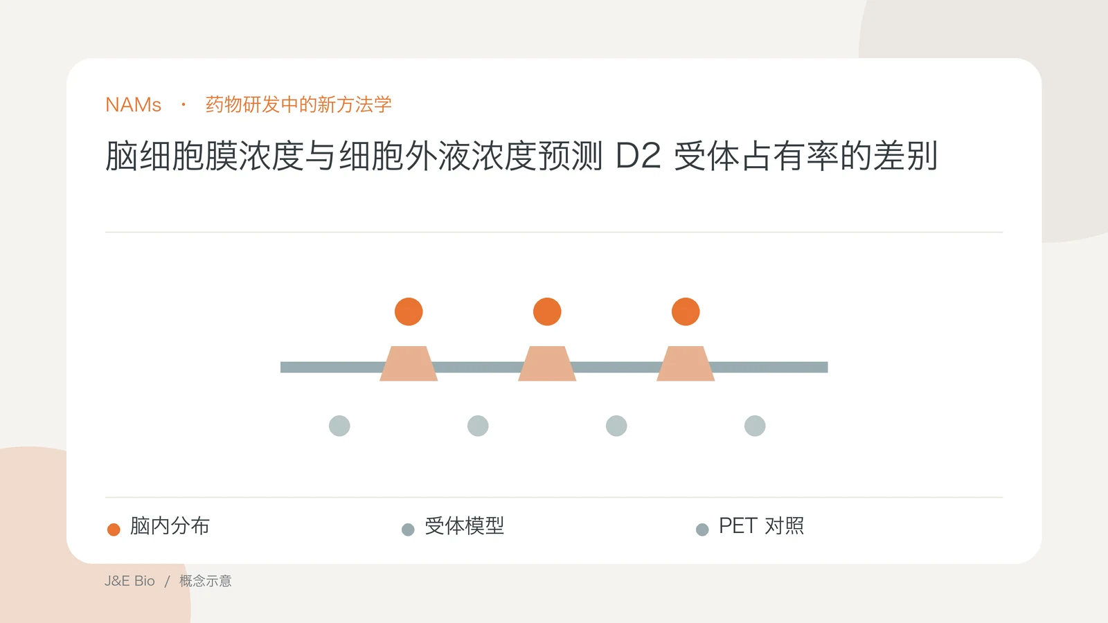 脑细胞膜浓度与细胞外液浓度预测 D2 受体占有率的差别；以脑内分布、受体模型、PET 对照为主题的抽象概念图