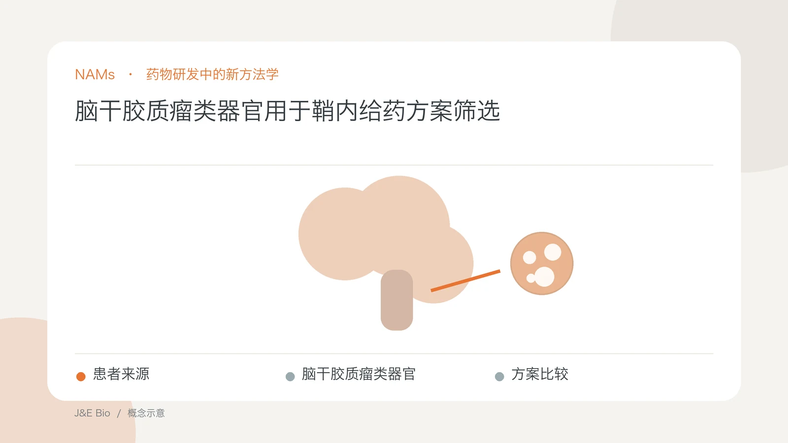 脑干胶质瘤类器官用于鞘内给药方案筛选；以患者来源、脑干胶质瘤类器官、方案比较为主题的抽象概念图
