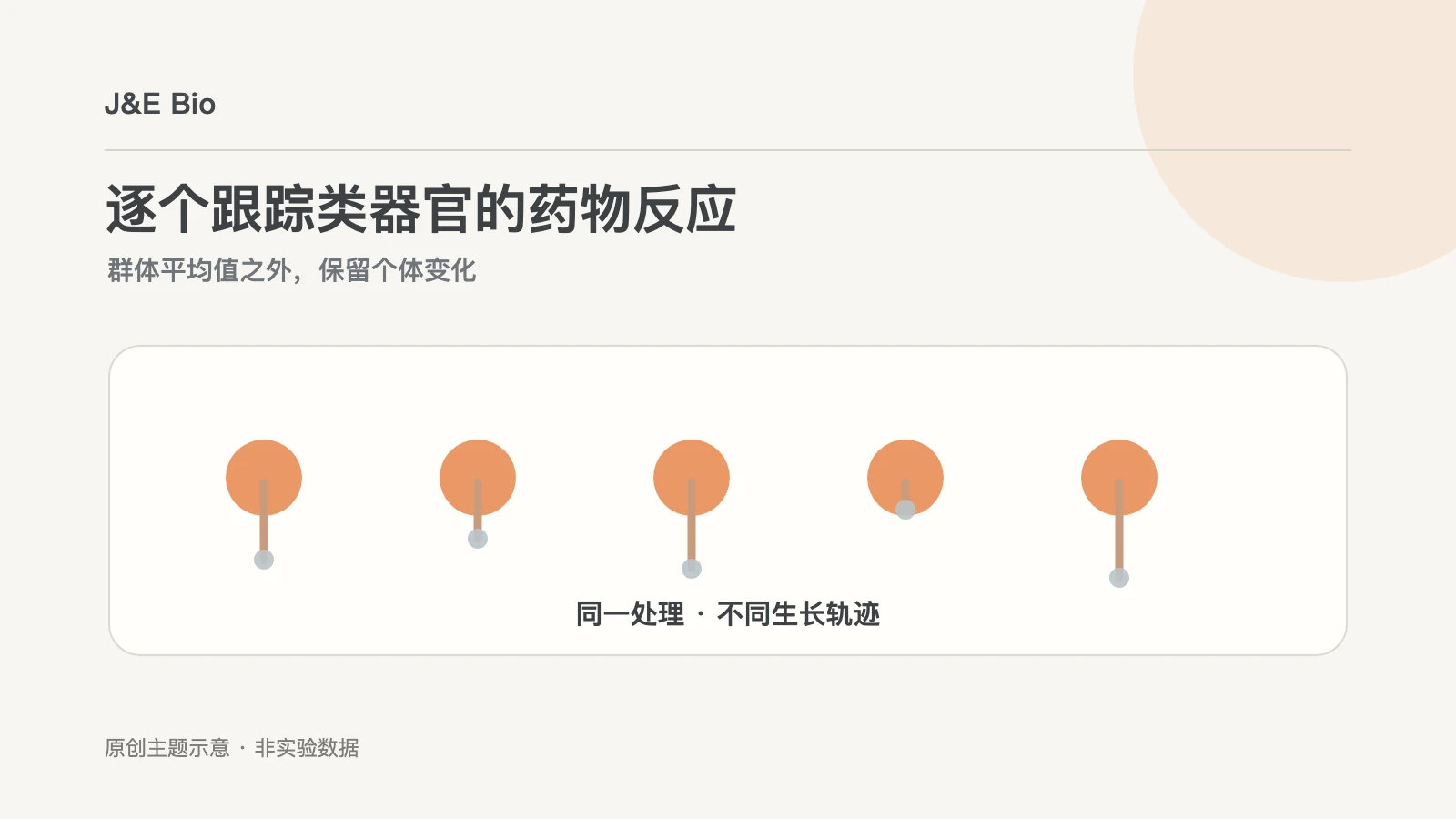 单个肿瘤类器官纵向生长与药物反应异质性概念图
