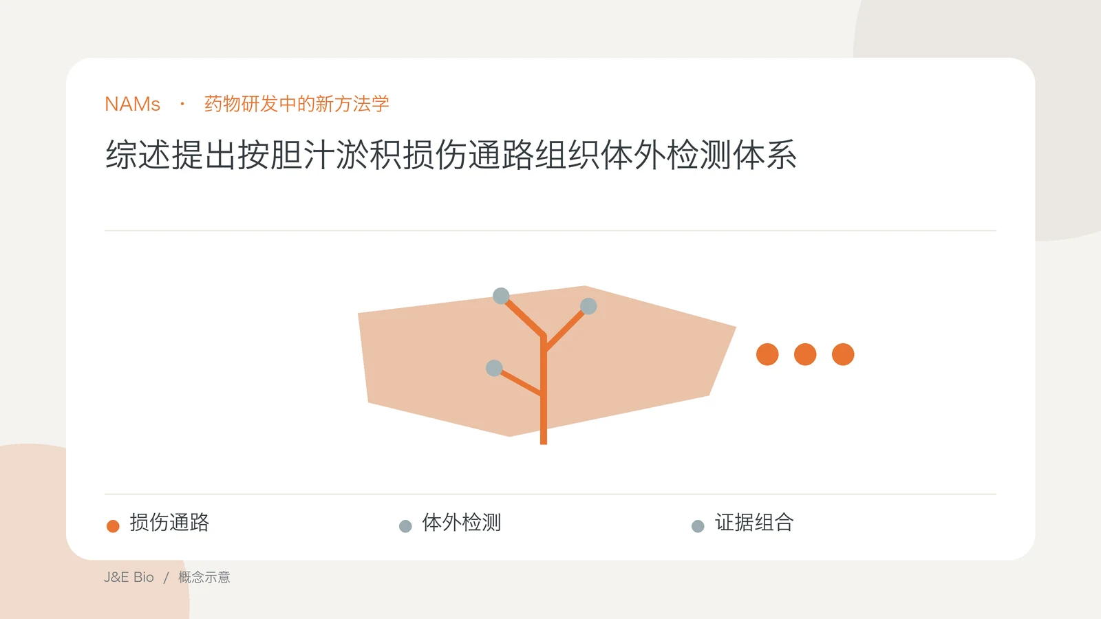 综述提出按胆汁淤积损伤通路组织体外检测体系;以损伤通路、体外检测、证据组合为主题的抽象概念图