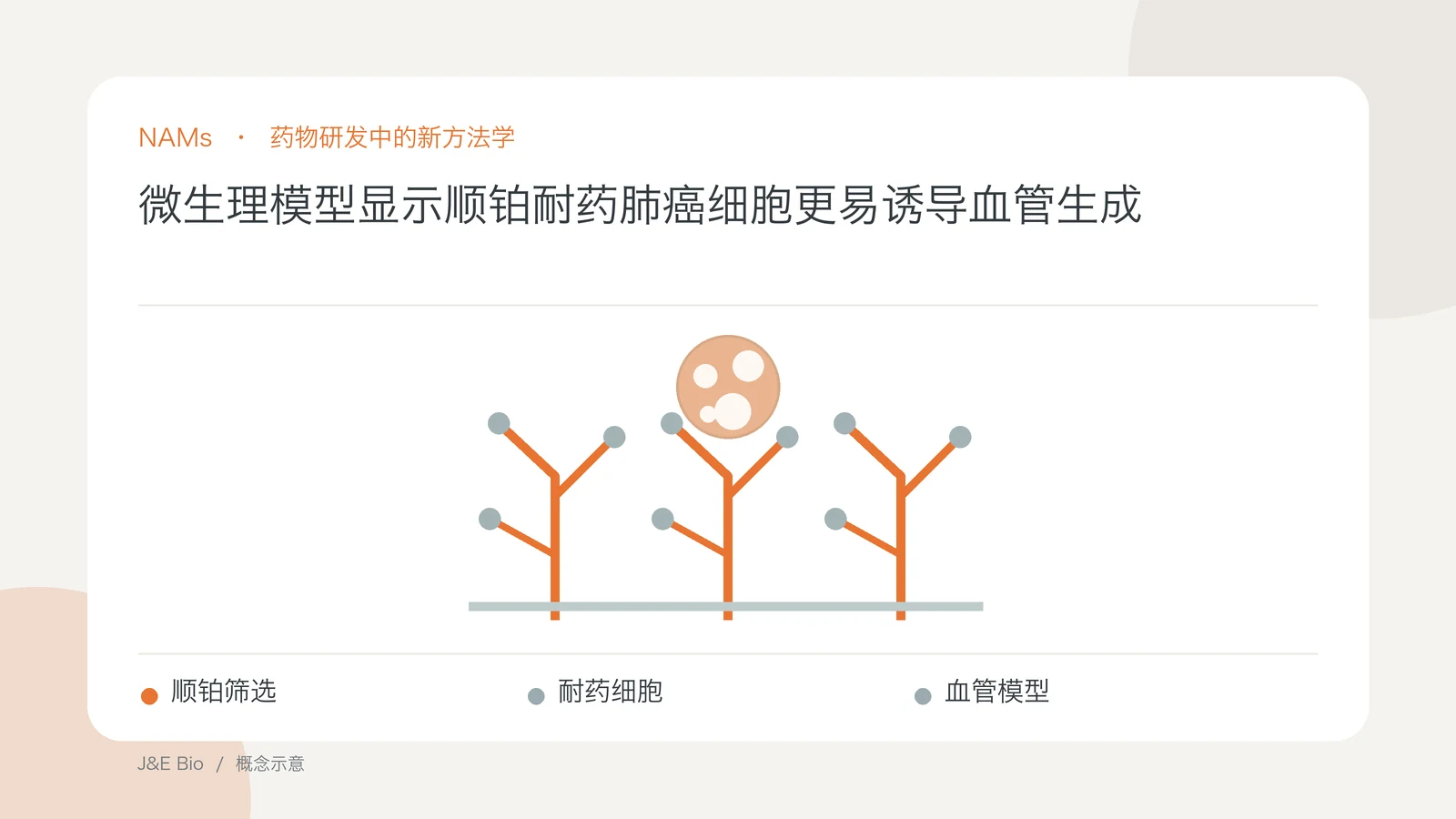 微生理模型显示顺铂耐药肺癌细胞更易诱导血管生成；以顺铂筛选、耐药细胞、血管模型为主题的抽象概念图