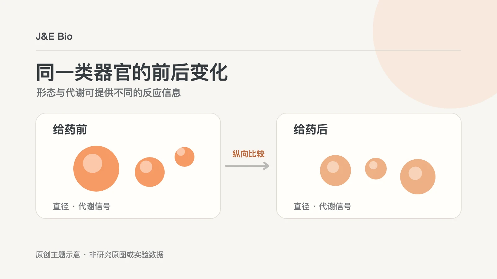 结直肠癌类器官在给药前后进行直径和代谢读数比较的概念示意