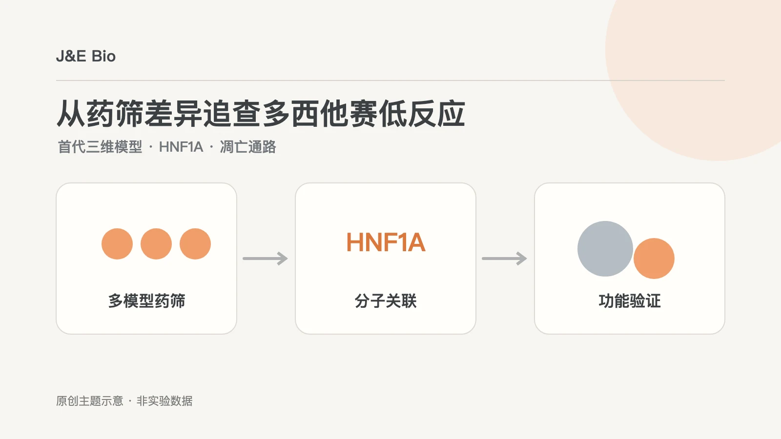 前列腺癌三维模型药物筛选与HNF1A功能验证的概念示意