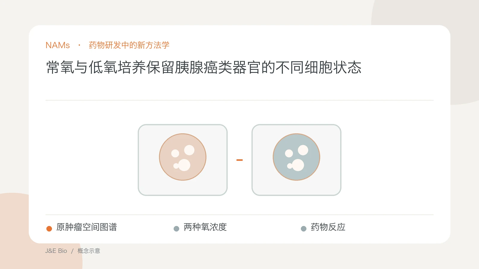 常氧与低氧培养保留胰腺癌类器官的不同细胞状态；以原肿瘤空间图谱、两种氧浓度、药物反应为主题的抽象概念图