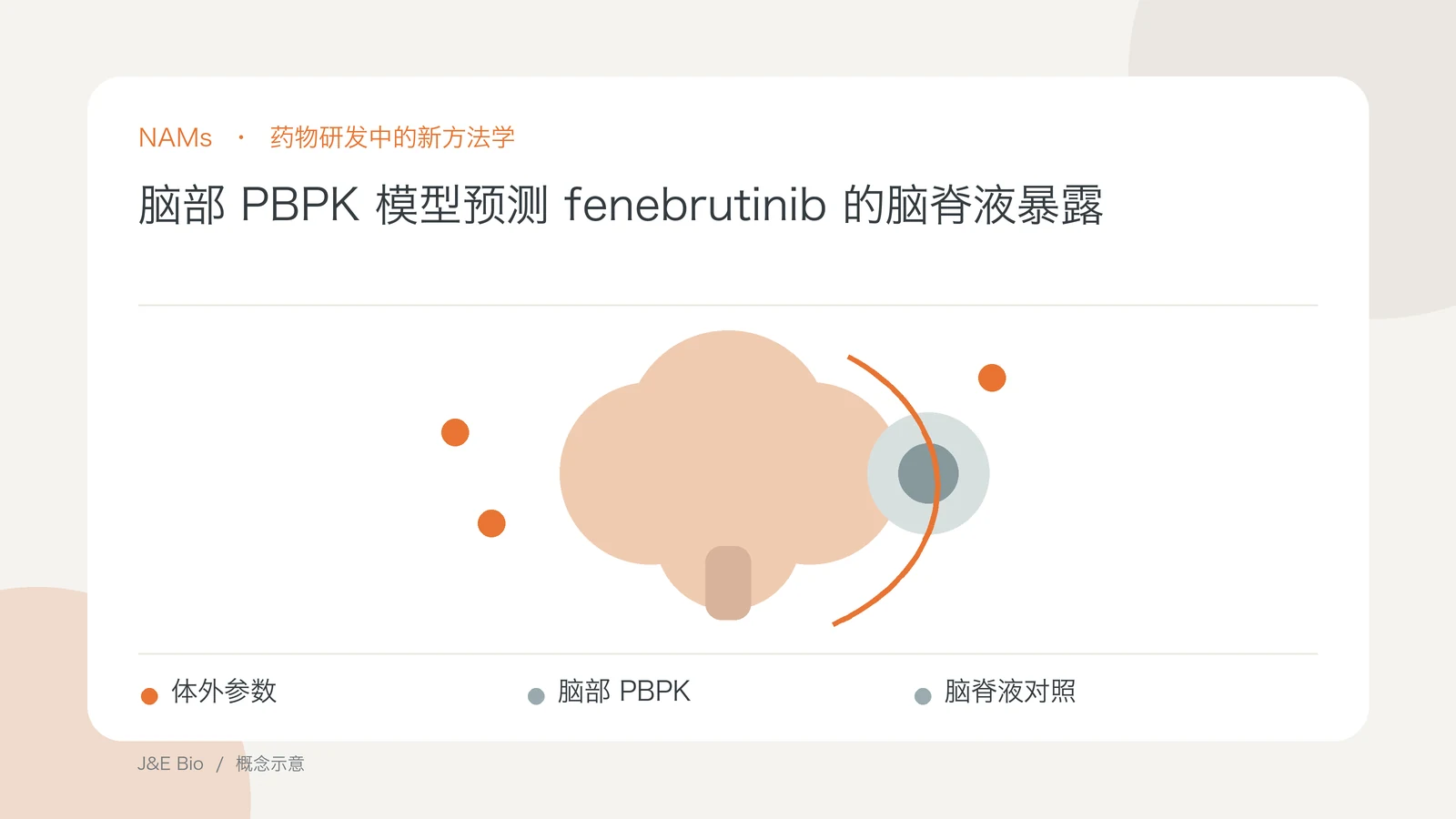 脑部 PBPK 模型预测 fenebrutinib 的脑脊液暴露；以体外参数、脑部 PBPK、脑脊液对照为主题的抽象概念图