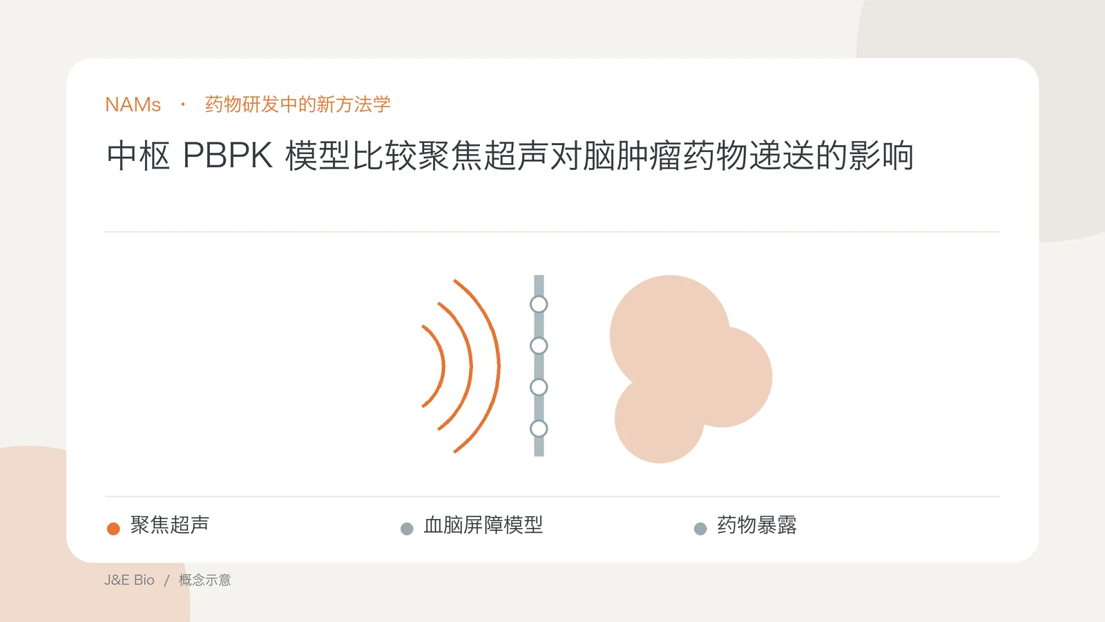 中枢 PBPK 模型比较聚焦超声对脑肿瘤药物递送的影响；以聚焦超声、血脑屏障模型、药物暴露为主题的抽象概念图