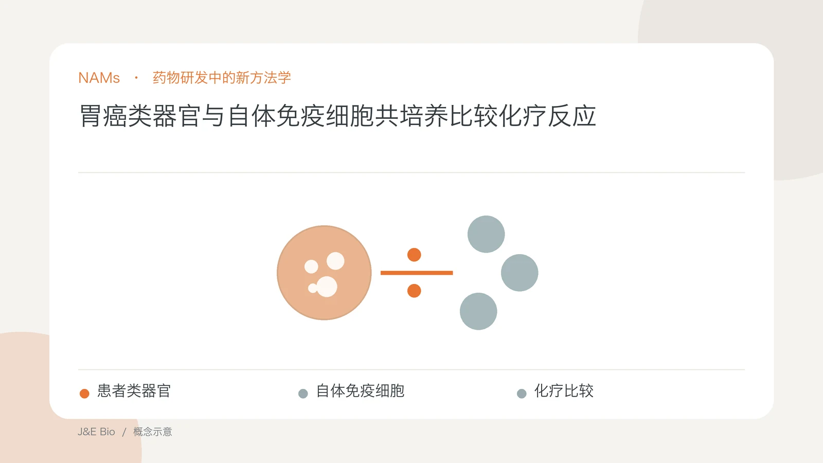 胃癌类器官与自体免疫细胞共培养比较化疗反应；以患者类器官、自体免疫细胞、化疗比较为主题的抽象概念图