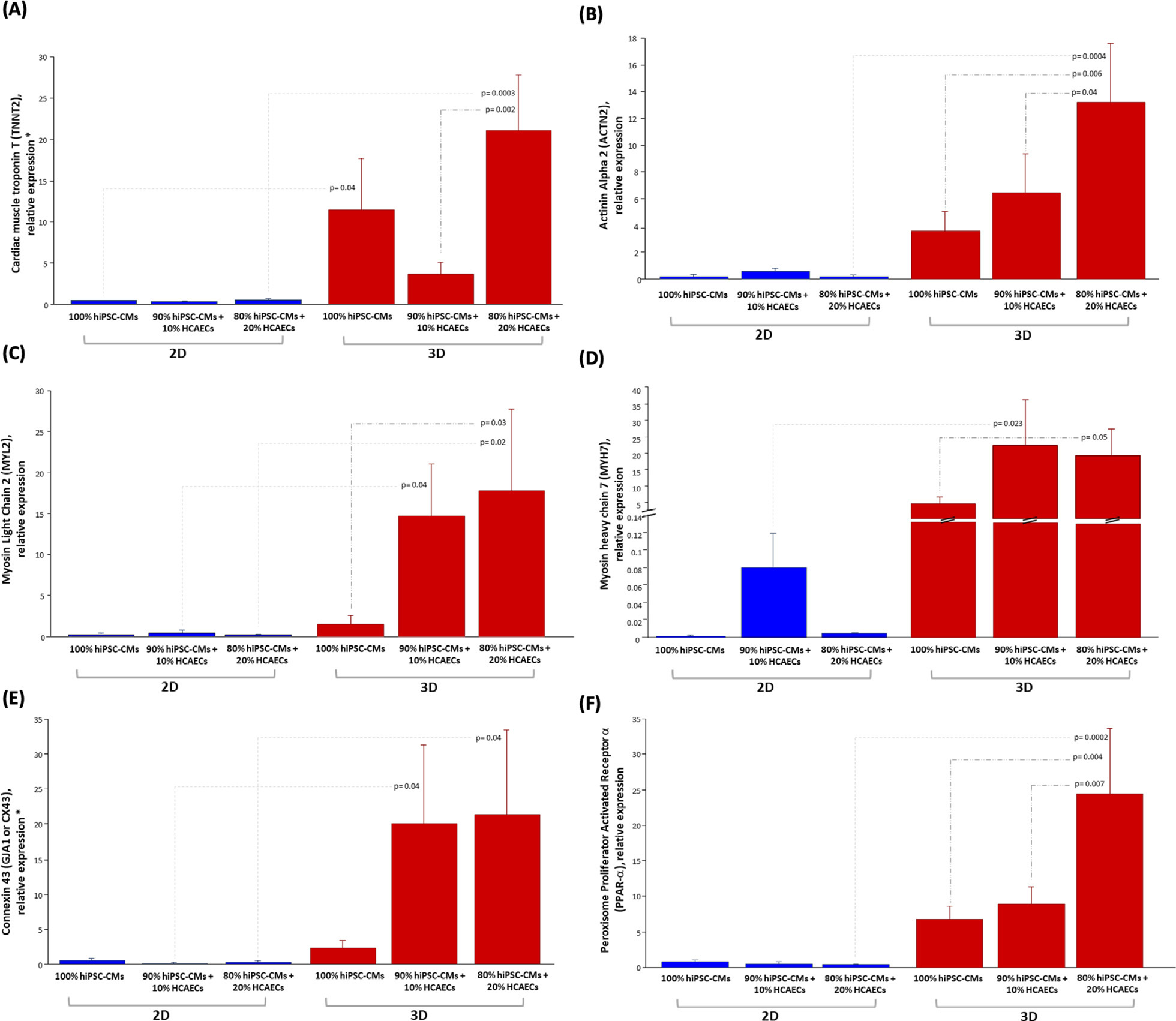 二维与三维环境中，纯心肌细胞及两种内皮细胞比例的 6 项相对 mRNA 表达比较。A–D 为结构与收缩相关基因，E 为细胞连接相关基因，F 为代谢调节基因。
