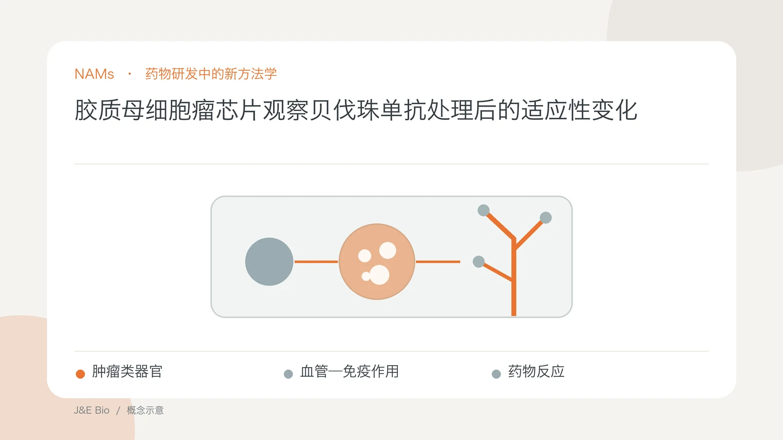 胶质母细胞瘤芯片观察贝伐珠单抗处理后的适应性变化；以肿瘤类器官、血管—免疫作用、药物反应为主题的抽象概念图
