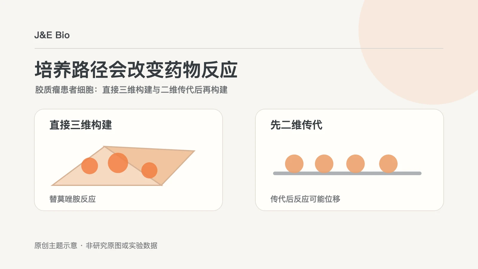 患者胶质瘤细胞直接三维培养与二维传代后再培养的两条路径概念示意