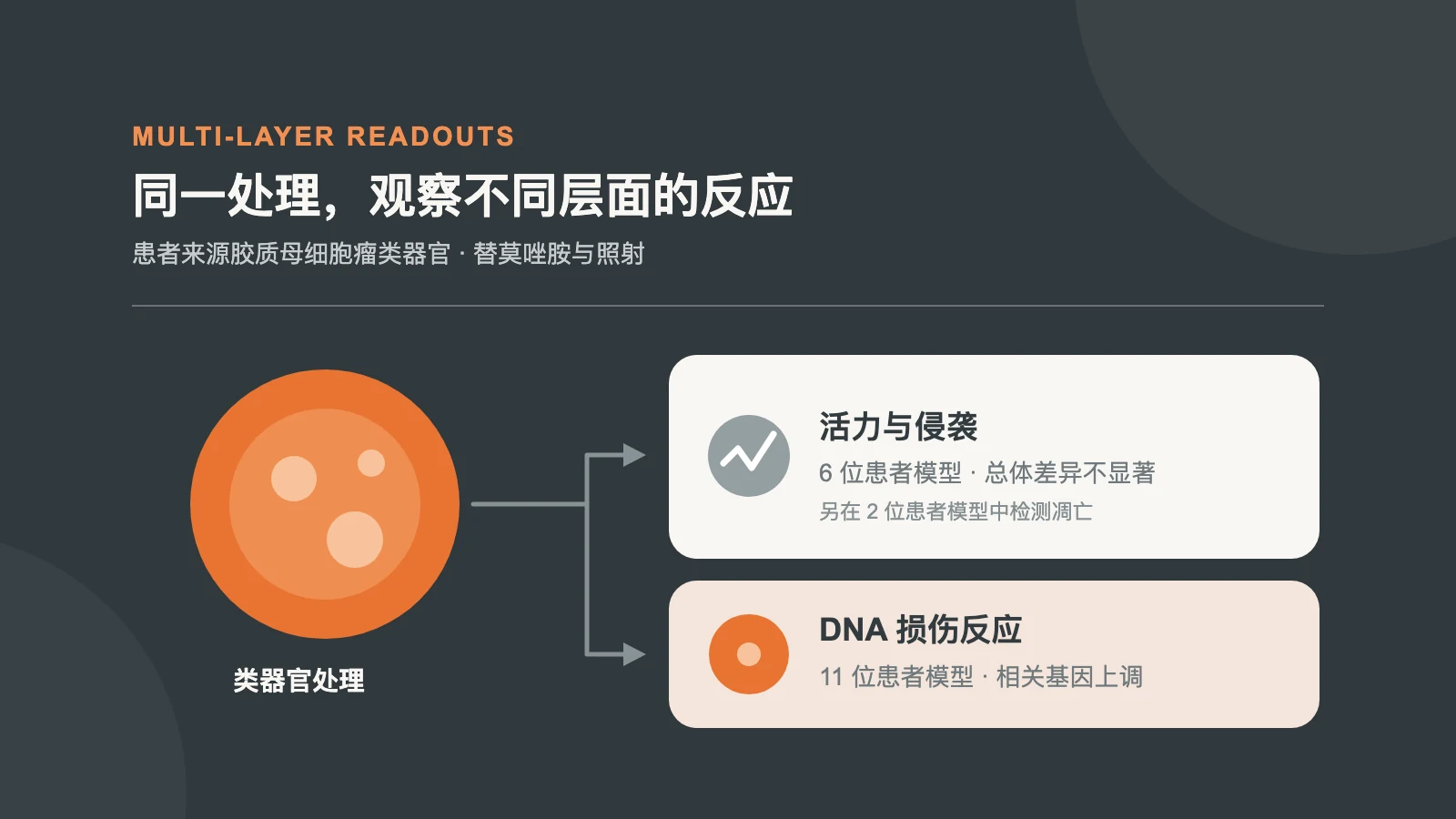 胶质母细胞瘤类器官经替莫唑胺及照射后，分别观察细胞活力和 DNA 损伤反应基因的示意图