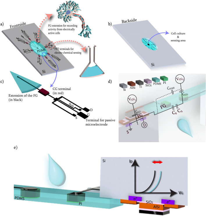 硅–聚合物器件的浮栅晶体管、培养区与两类感测原理。(Hande Aydogmus et al.,Scientific Reports,2023,图 1;CC BY 4.0)