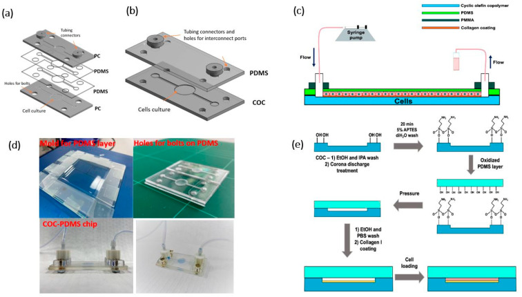 混合聚合物芯片结构、灌流配置与细胞培养界面。（Gulsim Kulsharova et al.，Polymers，2021，图 1；CC BY 4.0）