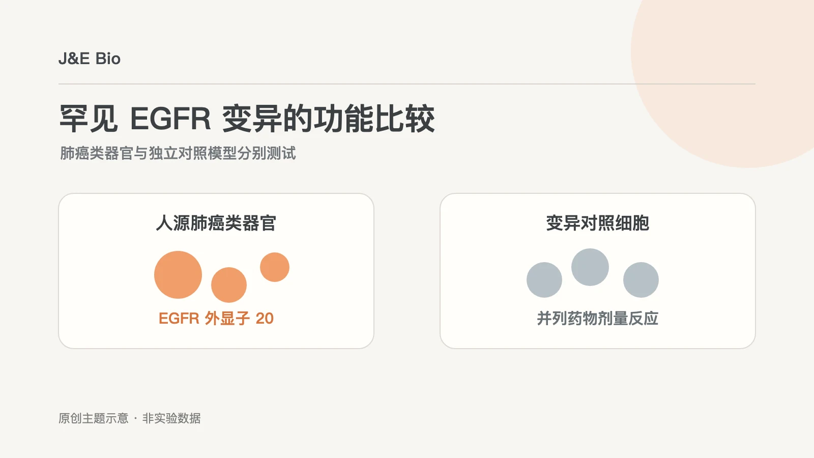 肺癌类器官EGFR外显子20插入变异与三种抑制剂比较的概念示意
