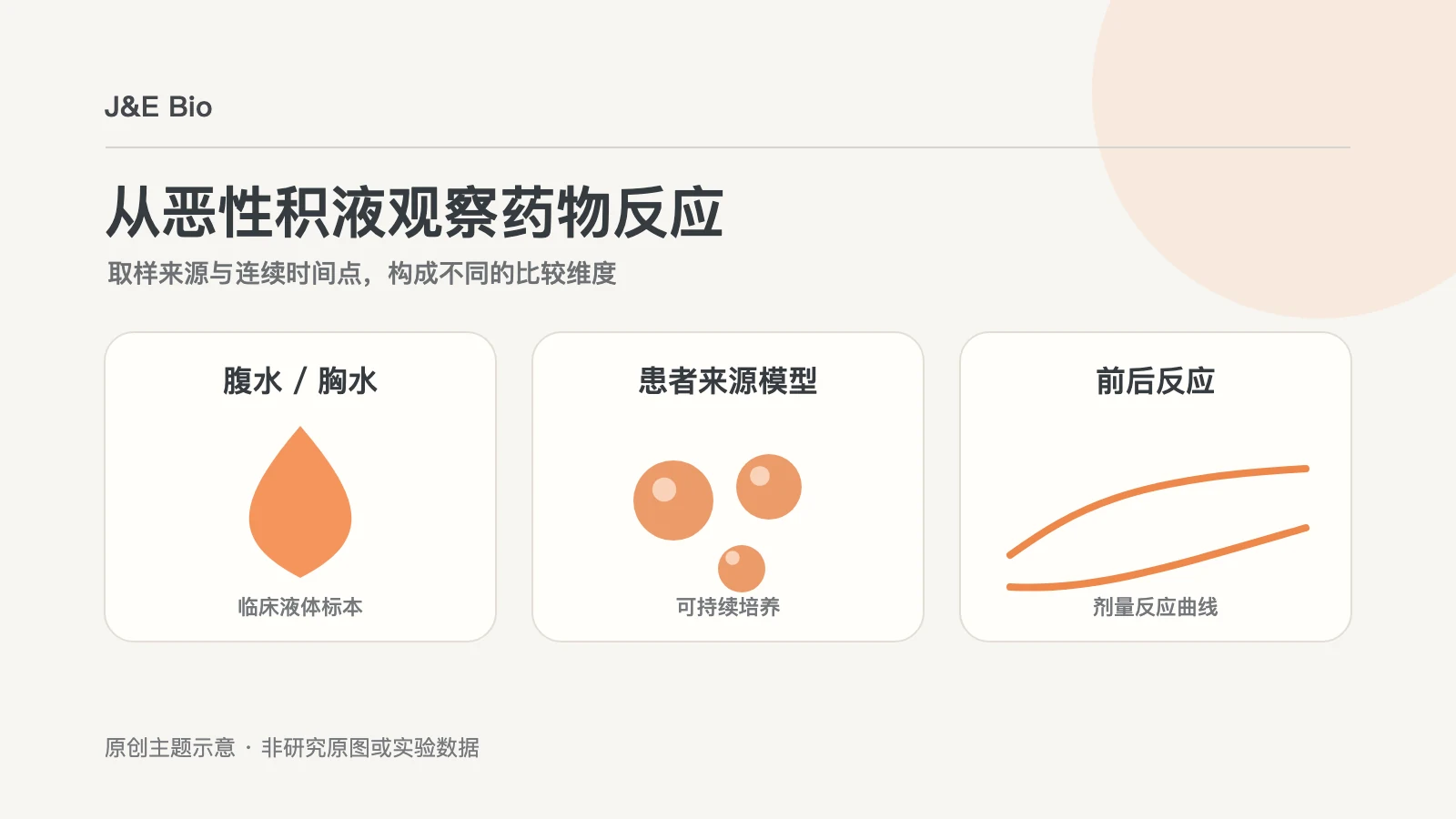 恶性胸腹水取样、类器官培养与治疗前后药物反应比较的概念示意