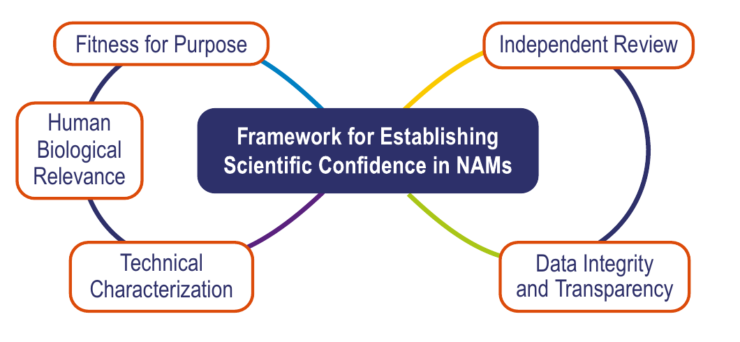 作者提出的 NAMs 科学可信度五要素框架:用途适配、人类生物学相关性、技术特征、数据完整性与透明度、独立审查。连接表示要素相互关联。