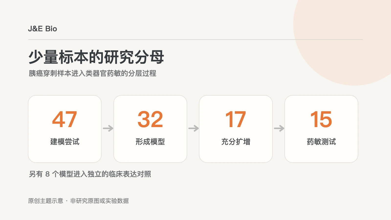 胰腺癌细针穿刺标本、十五个药敏模型和八个表达比较模型的分层概念示意