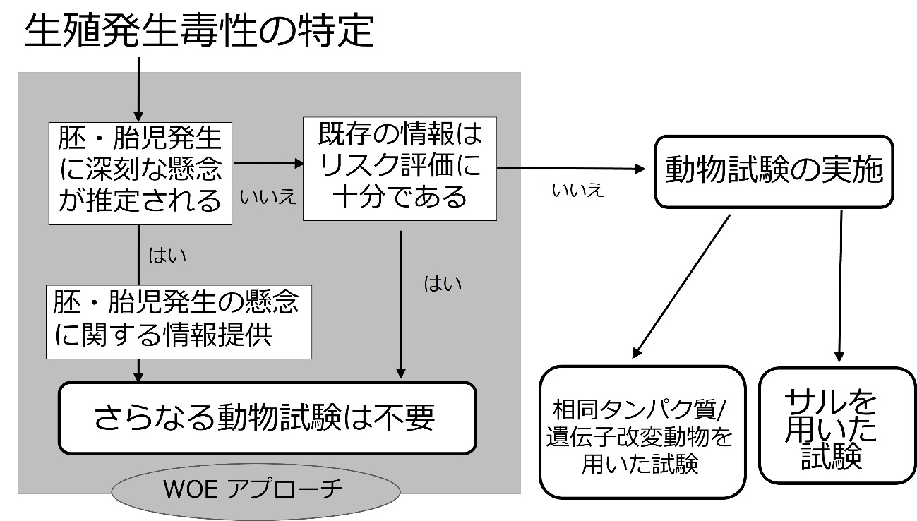 猴为唯一药理学相关动物时的生殖发育毒性评价路径。