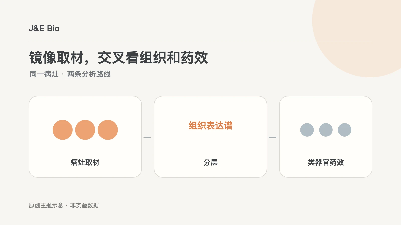 前列腺癌镜像活检组织转录组和类器官药敏对应概念图