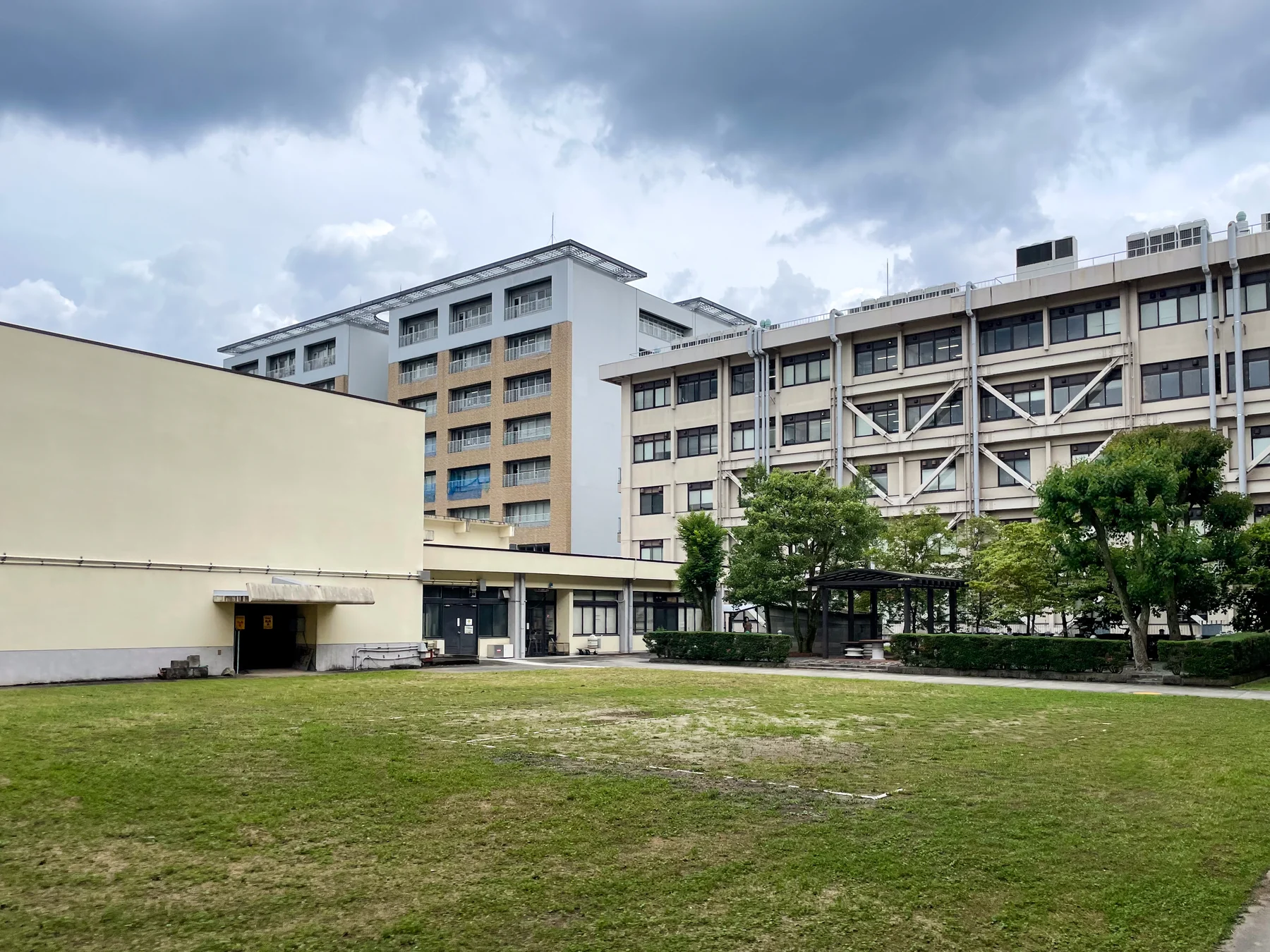 京都大学吉田校区的建筑、树木与草地。