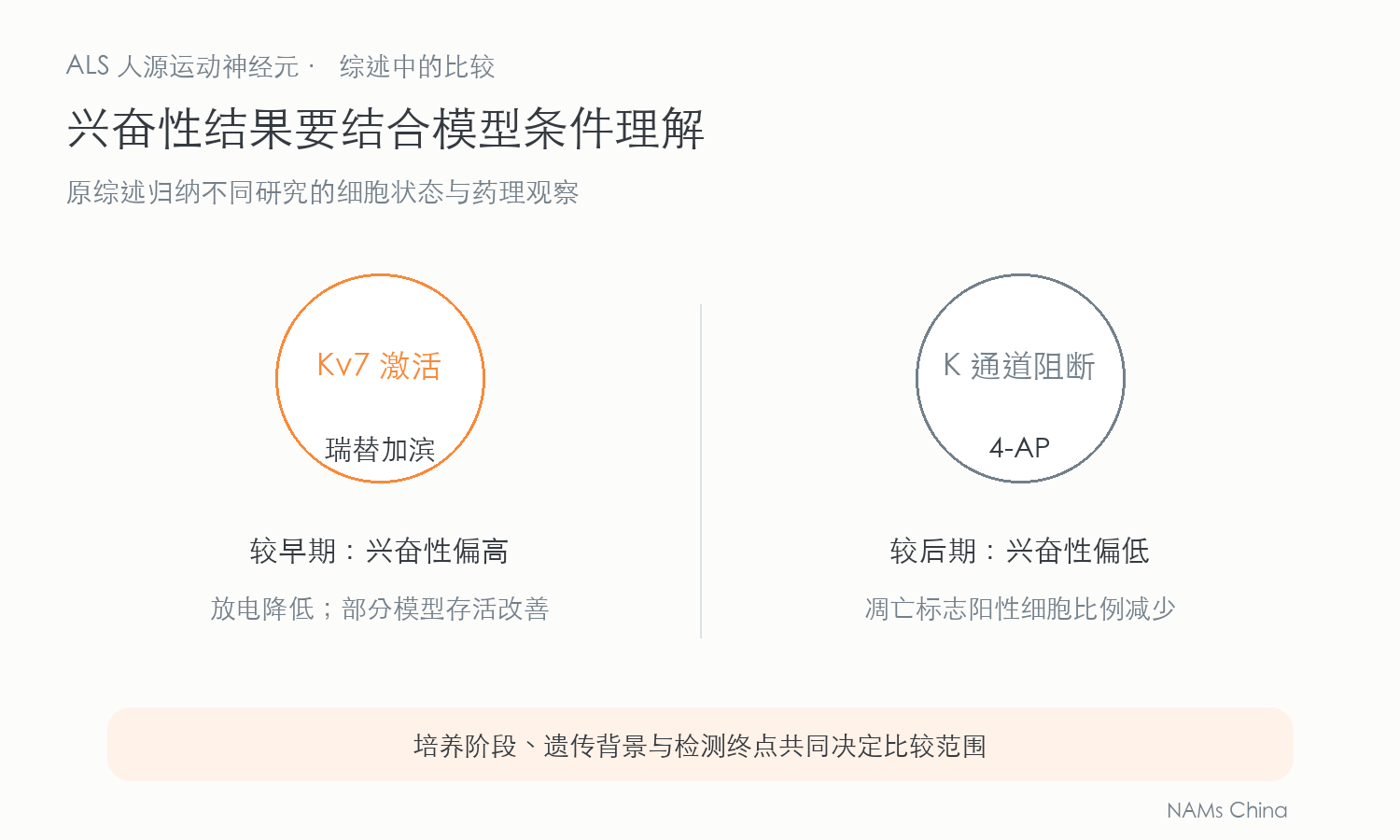 不同原研究中 Kv7 激活剂瑞替加滨用于较早期高兴奋状态,钾通道阻断剂 4-AP 用于较后期低兴奋状态,两者各有不同检测终点的概念图。
