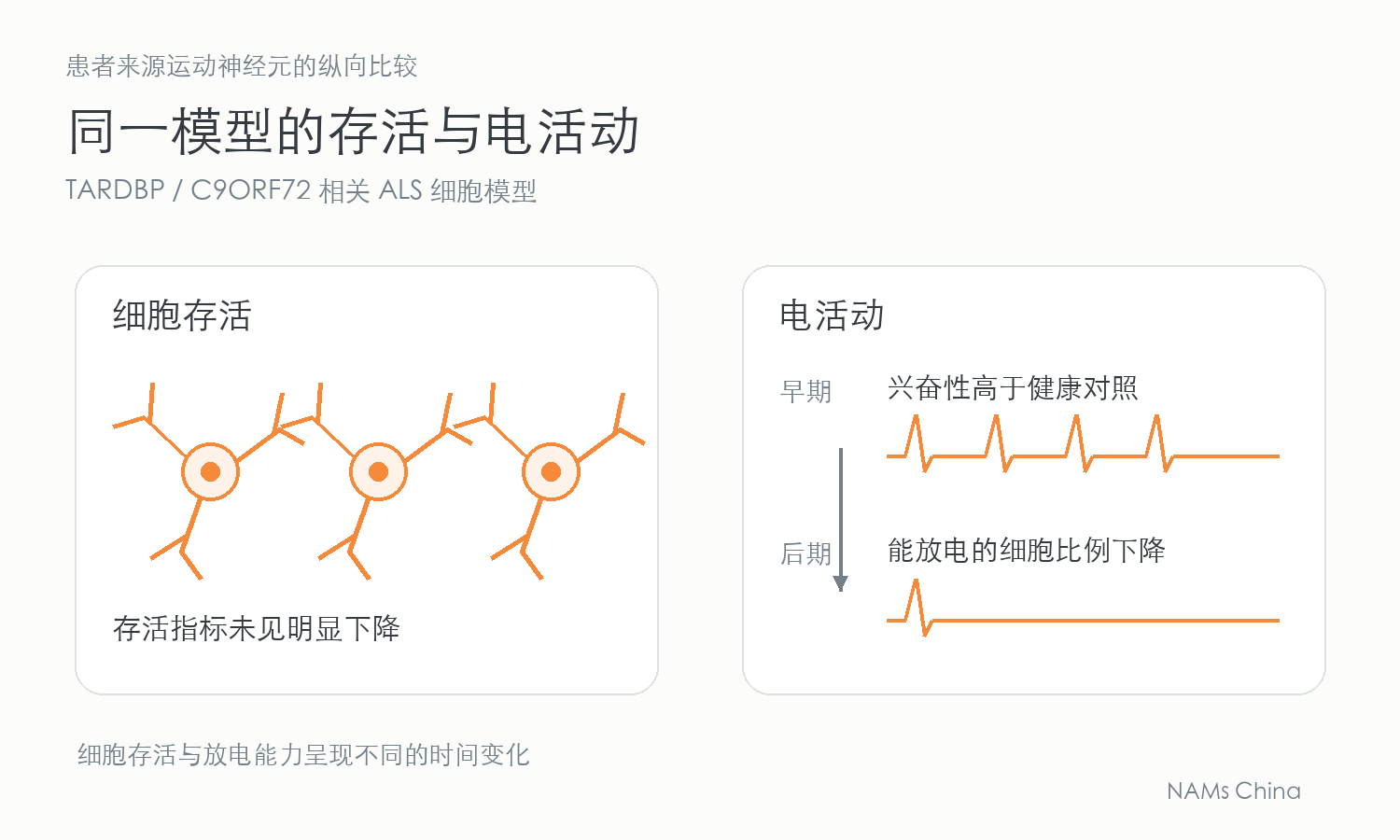 示意患者神经元存活指标无明显下降,但早期兴奋性高于对照,后期能放电的细胞比例下降。