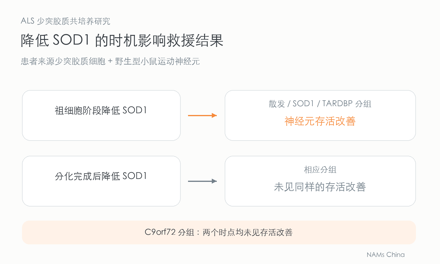 患者来源少突胶质细胞与小鼠运动神经元的共培养比较,显示祖细胞阶段降低 SOD1 可改善部分 ALS 分组存活,分化后及 C9orf72 分组未见相同效果。