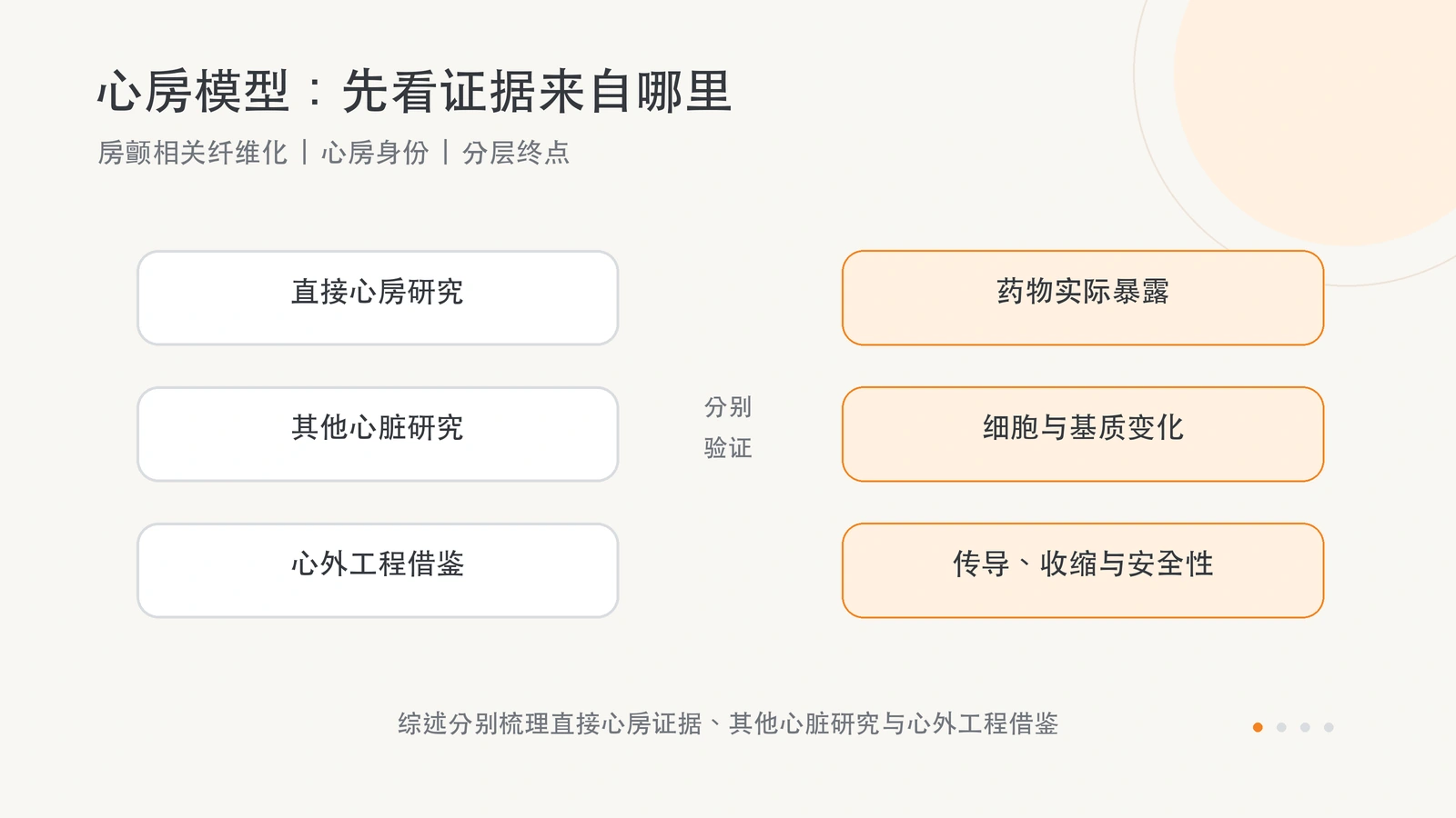 综述按直接心房、其他心脏和心外研究分组梳理证据，讨论药物暴露、细胞与基质变化及组织功能。