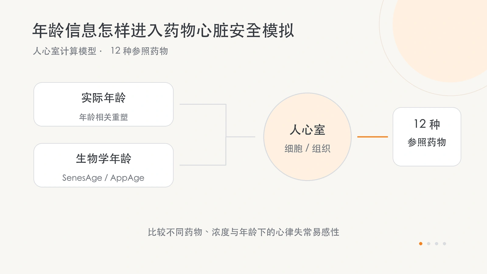 将实际年龄与基因表达推定的生物学年龄，分别纳入人心室电生理模型进行药物比较。