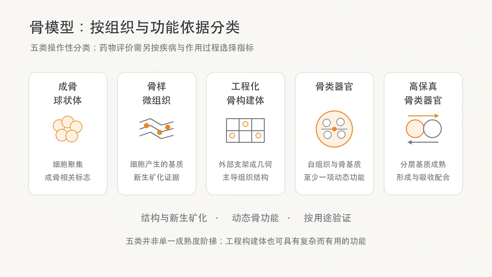 五类骨模型并列：成骨球状体、骨样微组织、工程化骨构建体、骨类器官及高保真骨类器官。