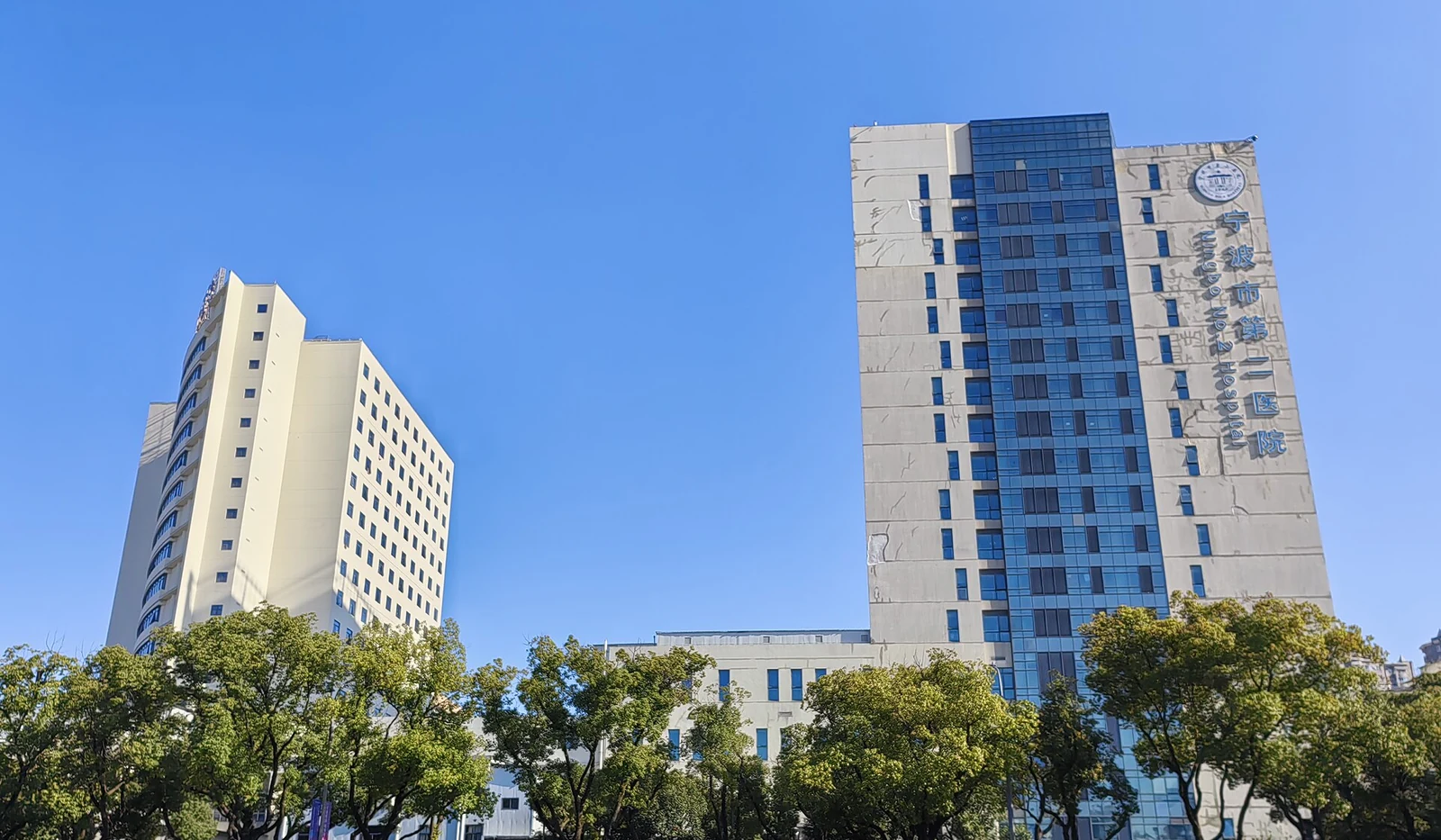 宁波市第二医院两栋建筑与树木