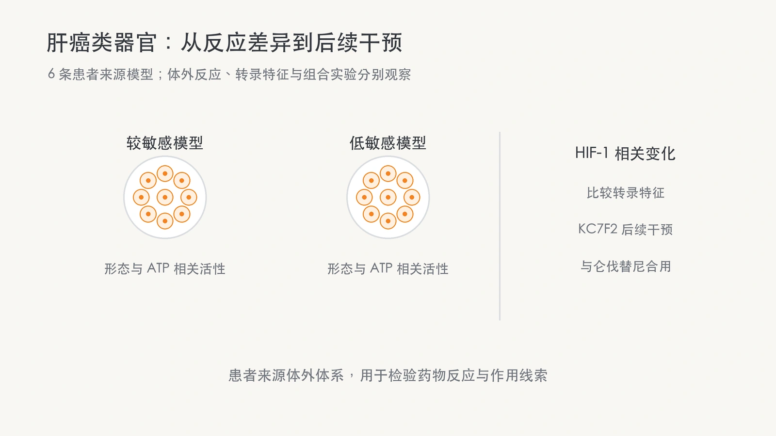 六条肝癌类器官按敏感性分层，结合转录变化与 KC7F2 后续组合实验。