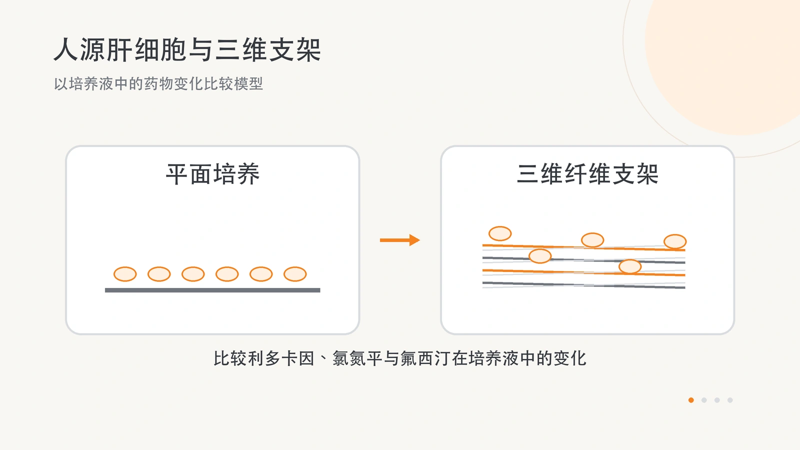 原创横版概念图:人源 HepaRG 细胞位于平面培养表面或三维纤维支架上,底部列出比较的三种药物。