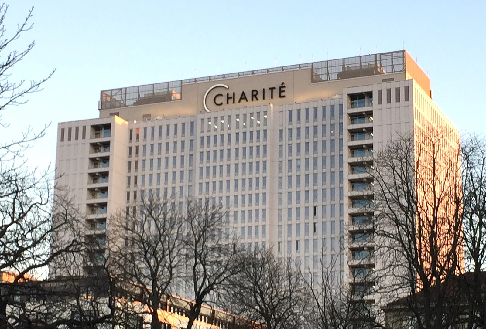 Charité 大楼及机构标识
