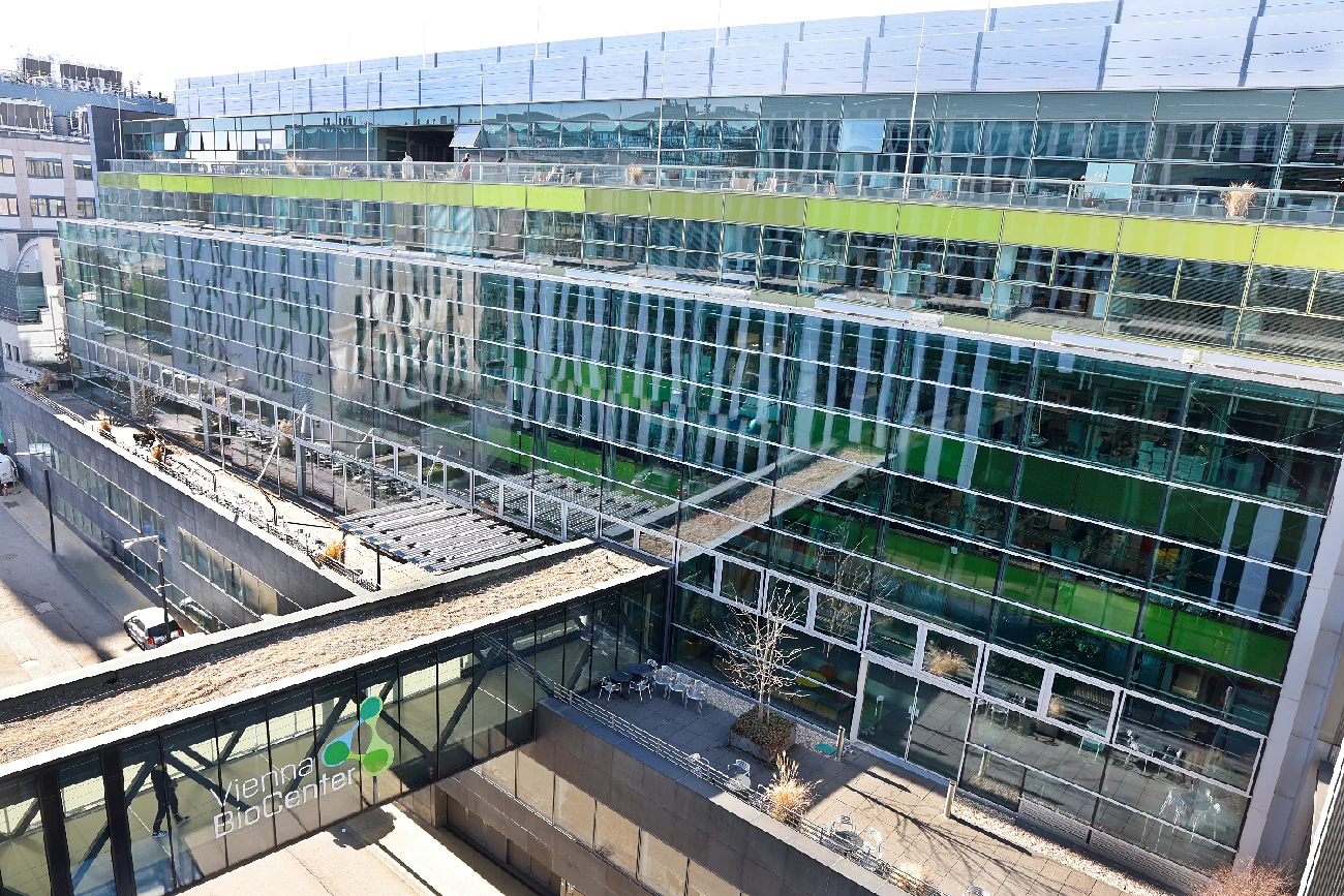 Vienna BioCenter 园区 IMBA 与 GMI 建筑外观