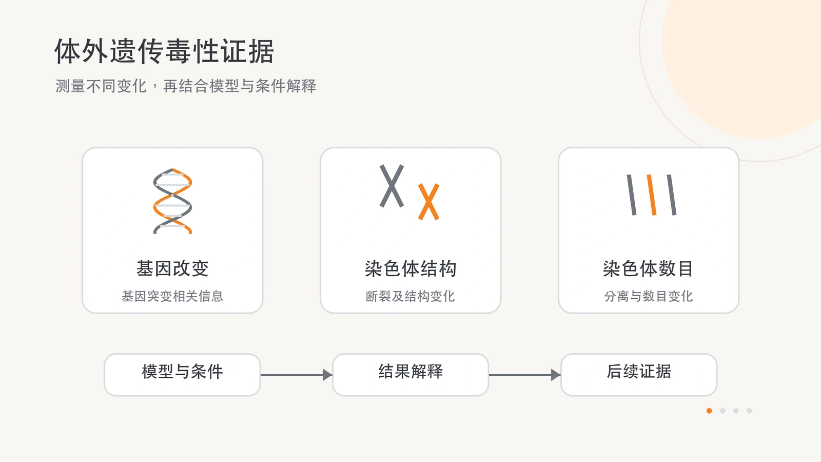 体外遗传毒性信息需要结合模型、试验条件和后续证据解释。