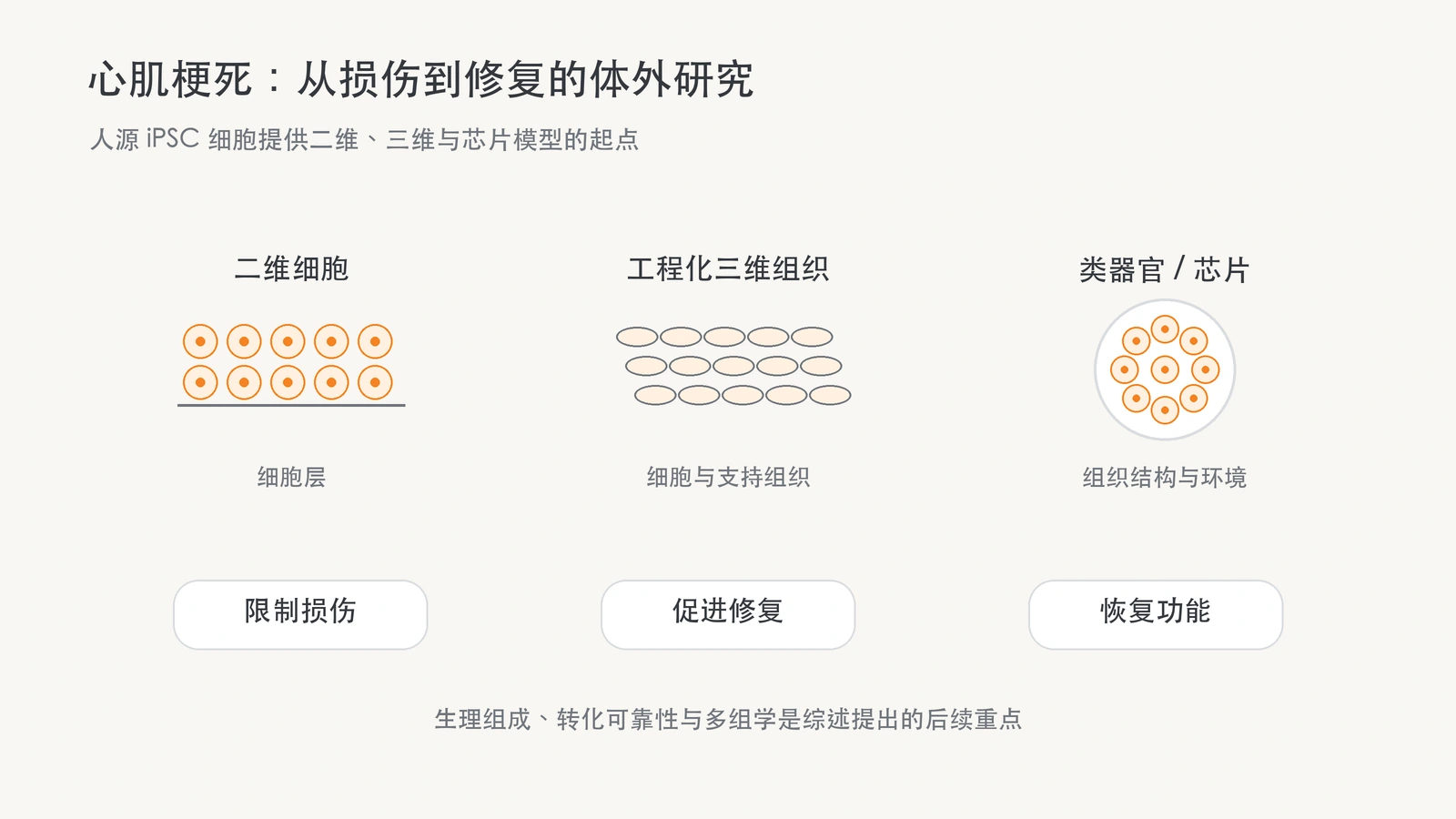二维细胞、工程化三维组织、类器官与心脏芯片并列,下方为损伤、修复及功能研究任务。