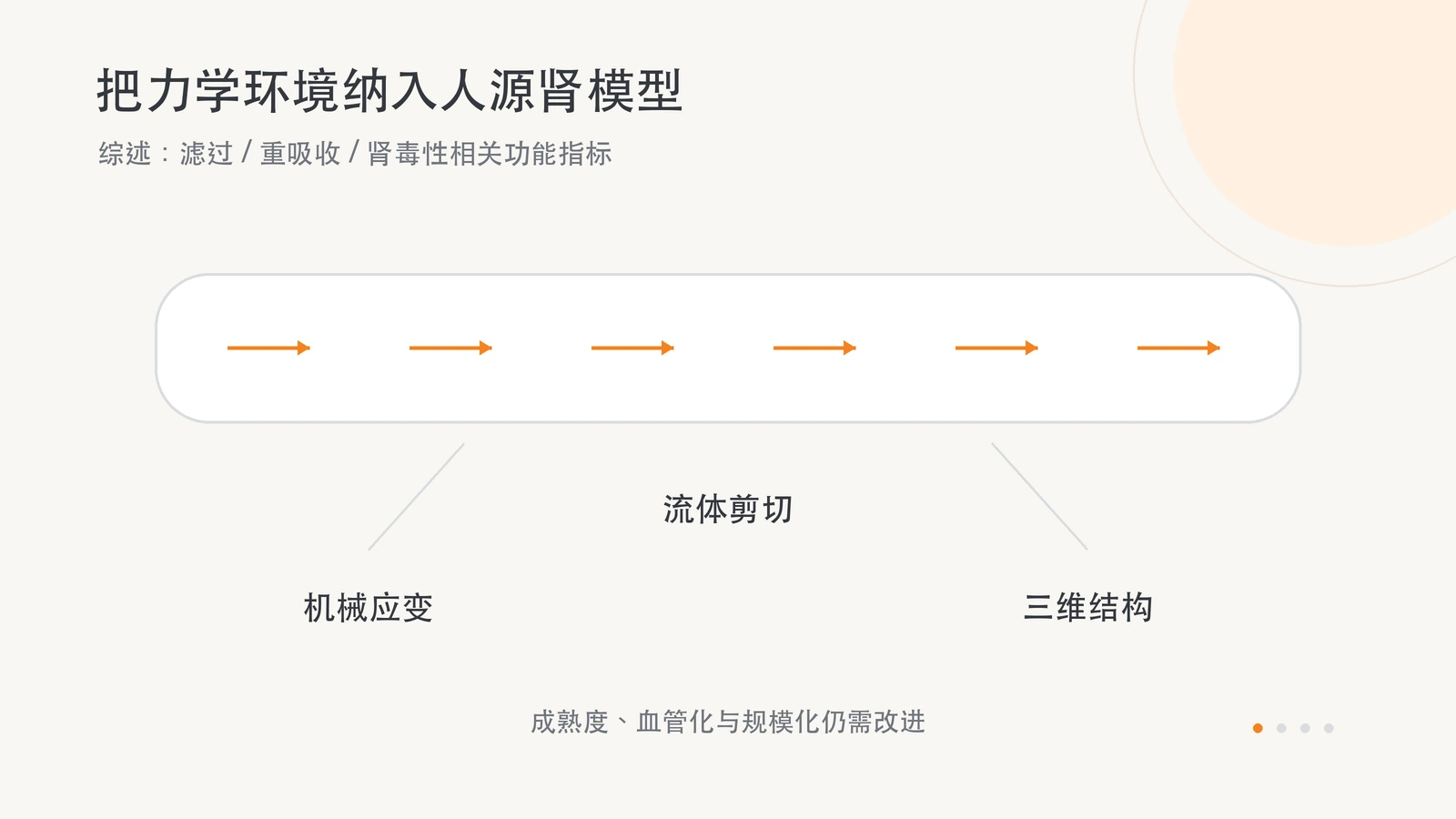 肾芯片与类器官综述讨论流体剪切、机械应变及三维结构对功能的影响，并指出成熟度、血管化和规模化的改进方向。