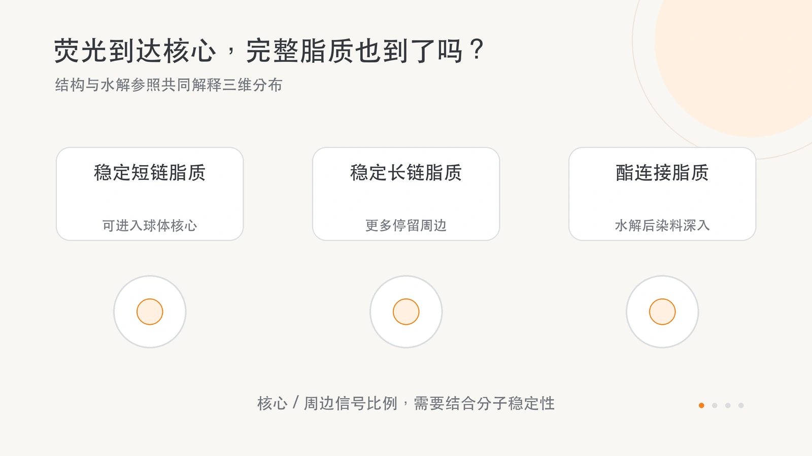 荧光脂质与水解释放染料在三维球状体中的分布示意。