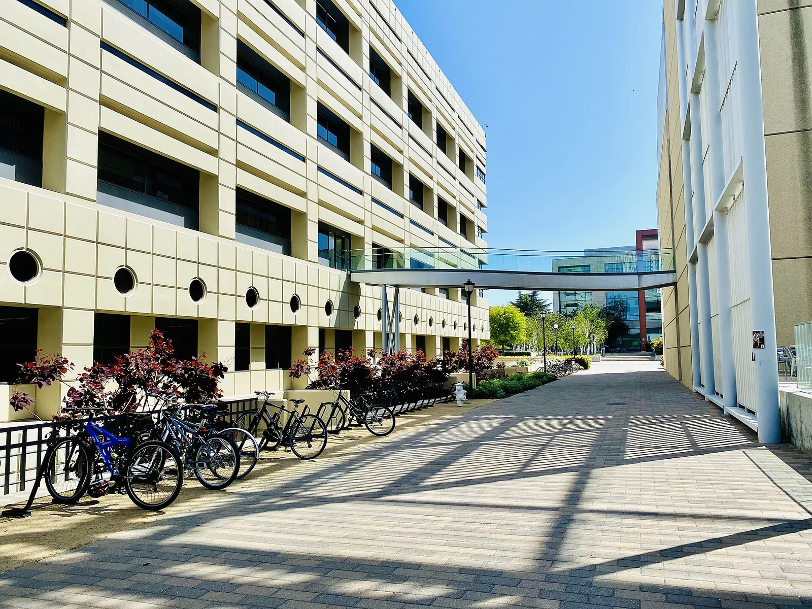 Stanford CCSR 与 Beckman Center 之间的玻璃建筑通道
