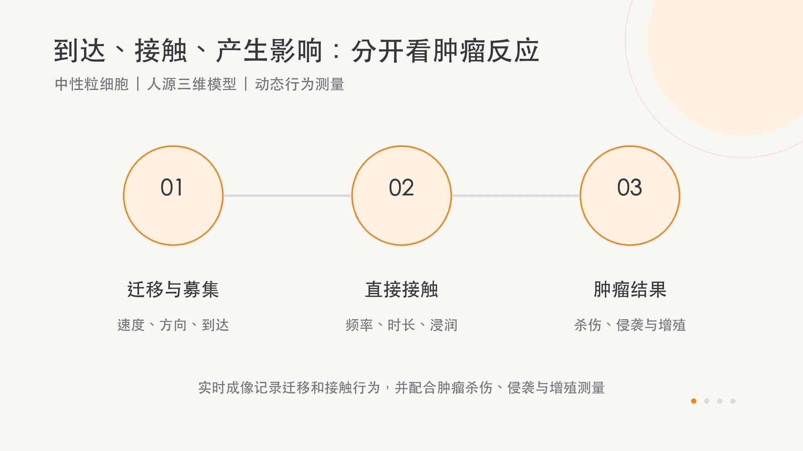 实时成像记录中性粒细胞迁移、直接接触和浸润行为，并配合肿瘤杀伤、侵袭及增殖等终点进行比较。