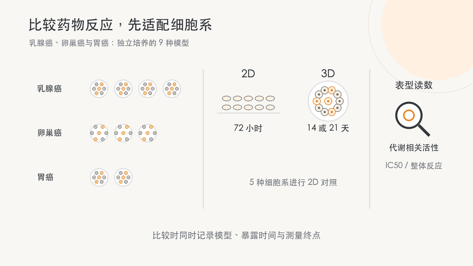 乳腺癌 4 种、卵巢癌 3 种、胃癌 2 种模型，5 种细胞系另作二维比较；二维 72 小时与三维 14 或 21 天给药示意。