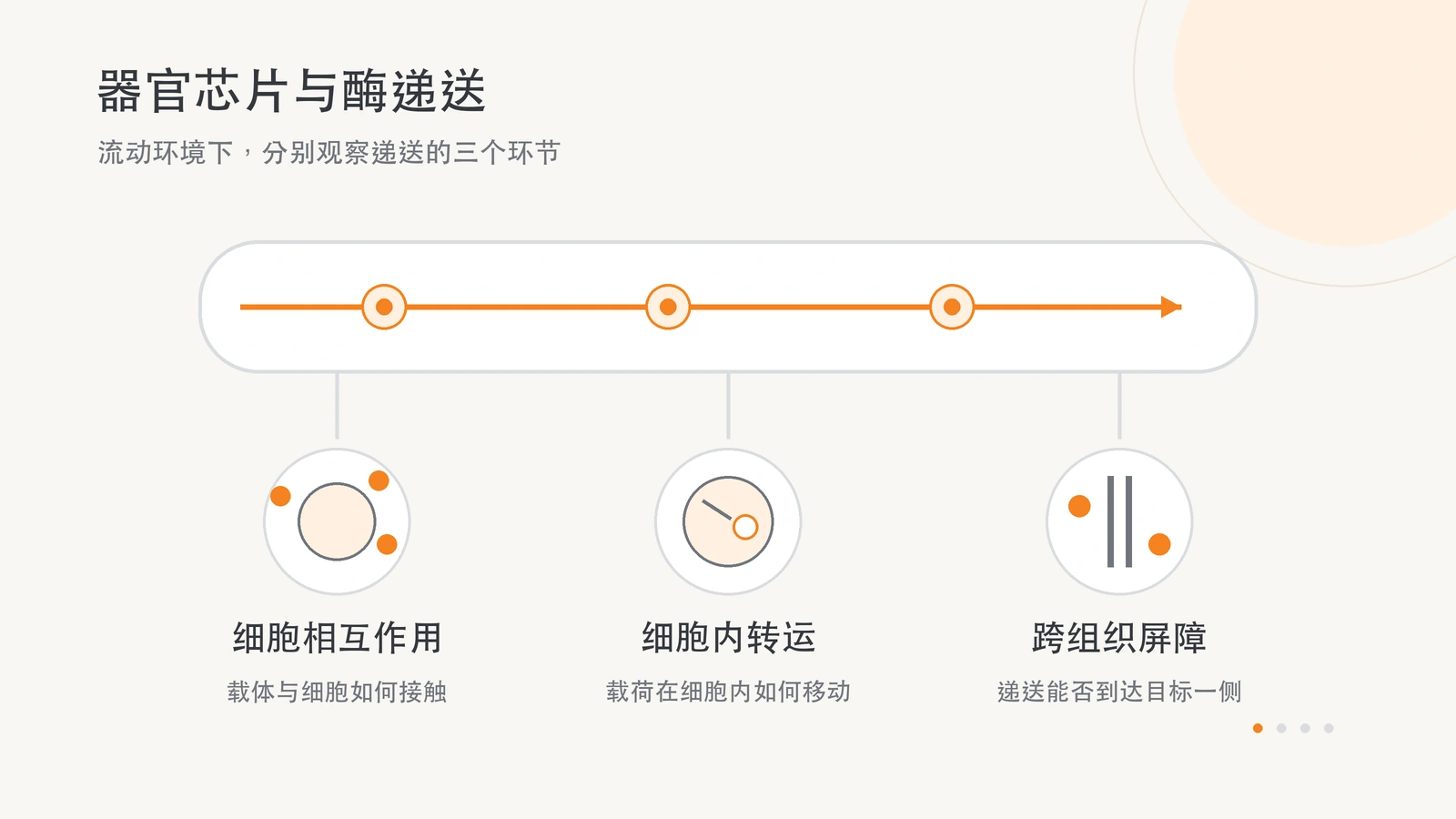 器官芯片流动概念与细胞接触、细胞内转运和跨屏障递送三个观察对象。