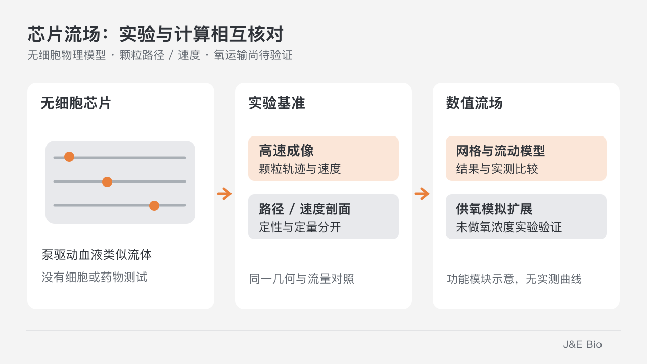 无细胞芯片用高速颗粒追踪与数值流场比较,路径和速度分别核对;氧运输扩展仍需实验验证。原创概念示意,非实际器件或实测曲线。