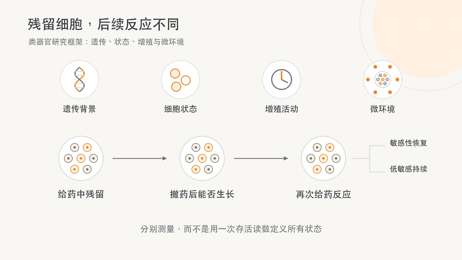 四类影响因素与类器官残留细胞的纵向药物反应观察示意。