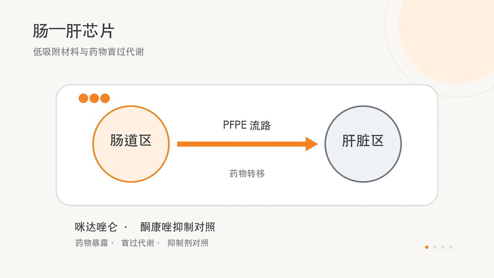 原创横版示意图：肠道区经 PFPE 低吸附流路连接肝脏区，展示药物从肠道进入肝脏的方向。
