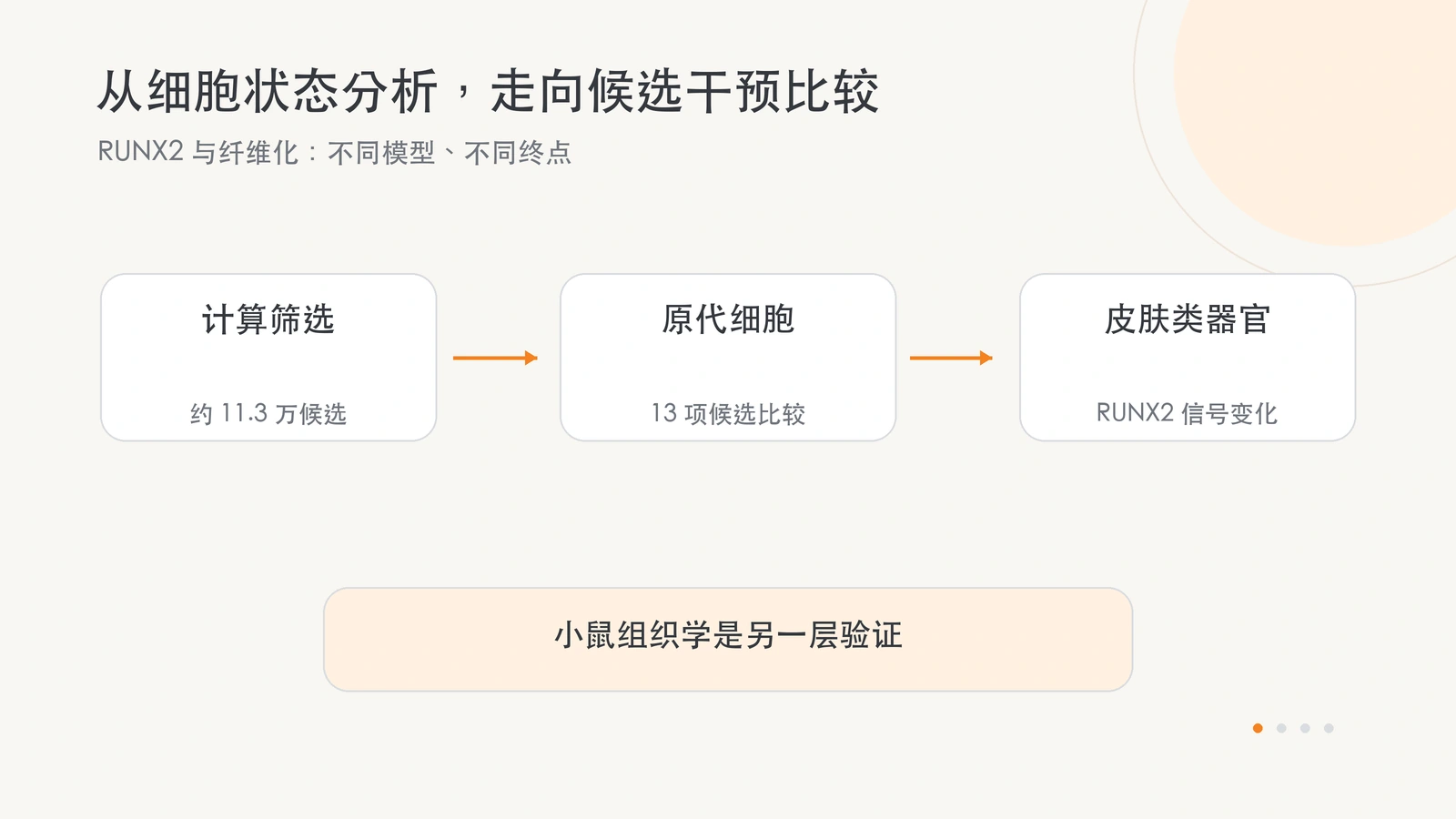 计算、原代细胞和皮肤类器官分层比较,小鼠组织学为另一层证据。