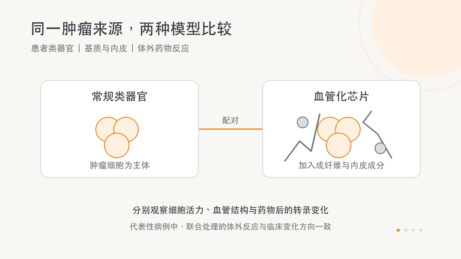 常规滑膜肉瘤类器官与补入成纤维、内皮及灌流成分的配对模型，用于比较药物活力、血管结构和转录反应。