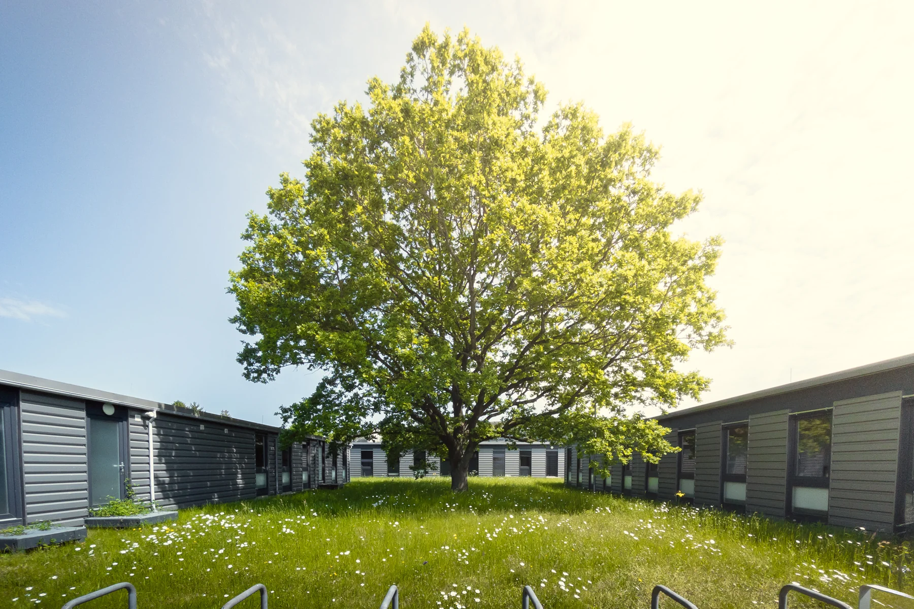 基尔大学(University of Kiel)Leibnizstraße 校区,2024 年。