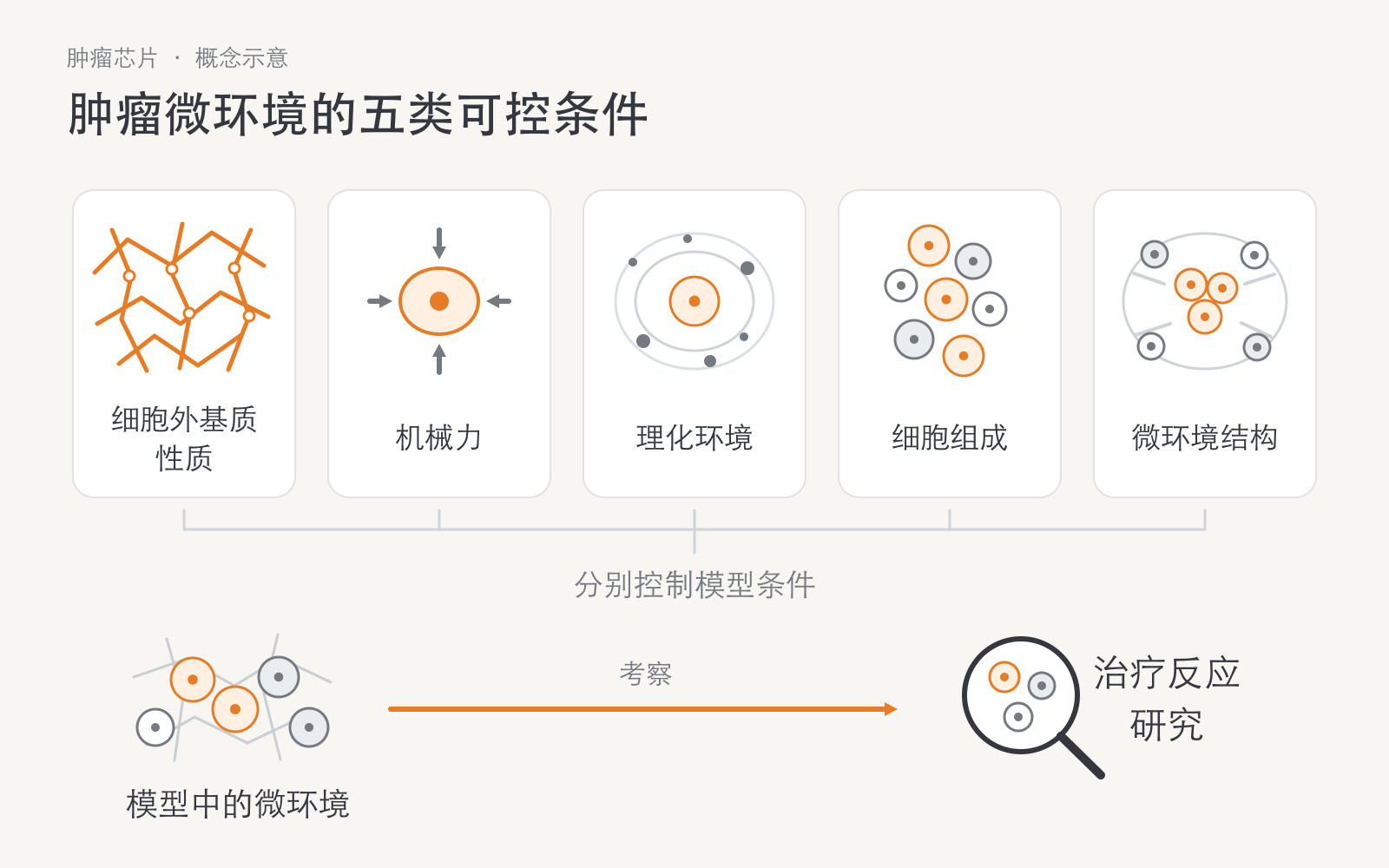 肿瘤芯片的五类可控条件:细胞外基质性质、机械力、理化环境、细胞组成和微环境结构;下方示意在模型条件下研究治疗反应。